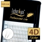 Preview: 4D Fächer