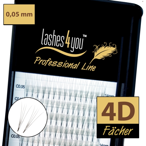 4D Fächer